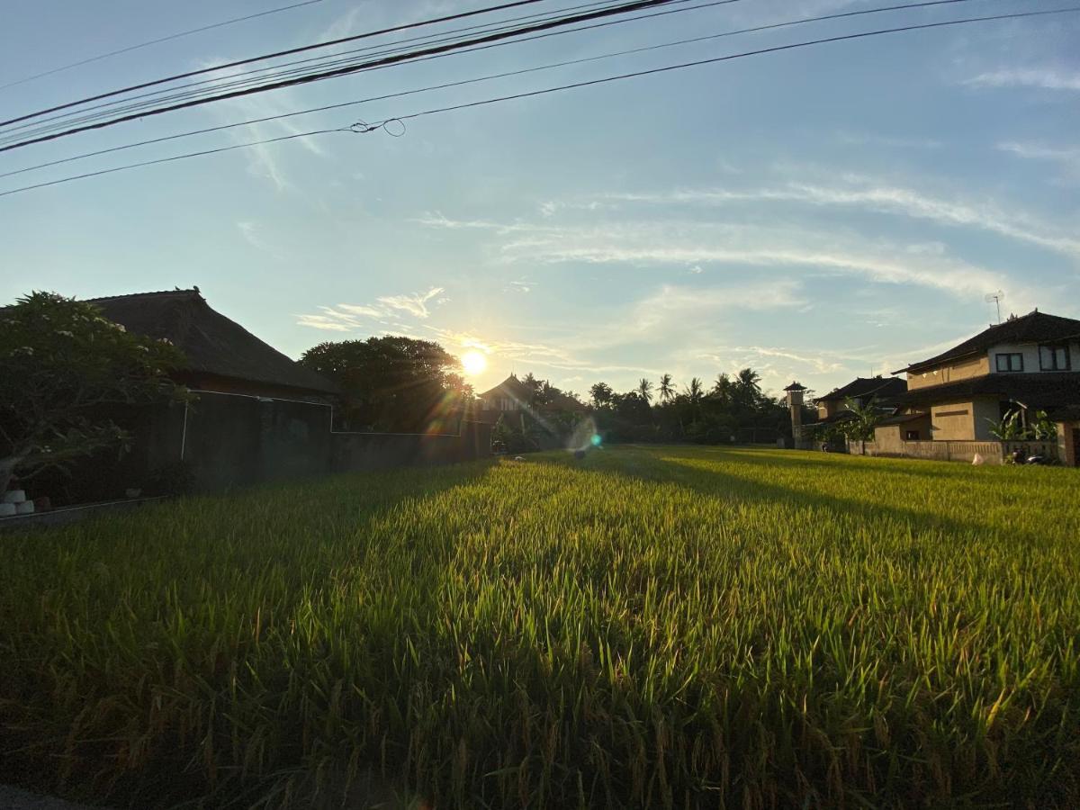 Rumah Dadong Ubud Eksteriør billede