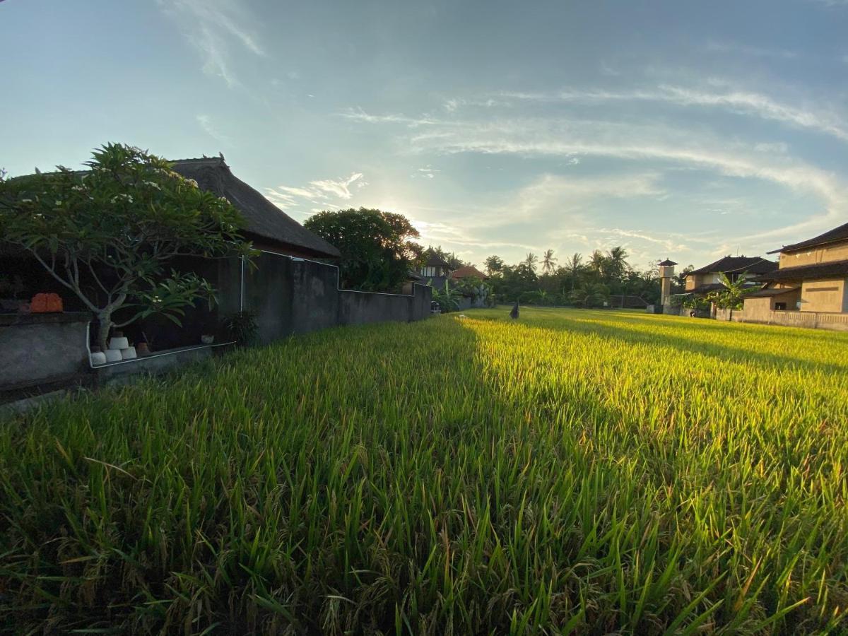 Rumah Dadong Ubud Eksteriør billede